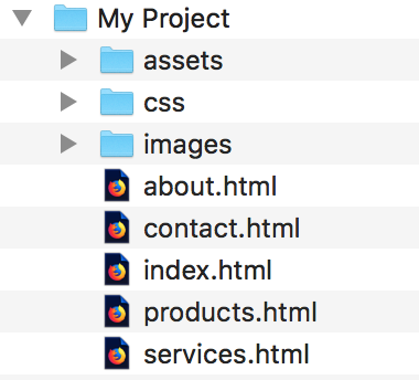 Basic Folder Structure